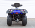 Vitacci Terminator 300 CC EFI 4x4 Off road ATV