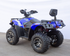 Vitacci Terminator 300 CC EFI 4x4 Off road ATV