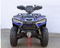 Vitacci Terminator 300 CC EFI 4x4 Off road ATV