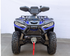 Vitacci Terminator 300 CC EFI 4x4 Off road ATV