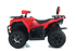 Apollo Cyber Roamer 250 EFI Off road ATV