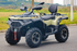 XWolf 550 EFI 4x4 ATV