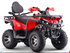 Vitacci Pentora Hunter 200 EFI ATV