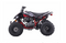Victacci Pentora 250 CC Off road ATV
