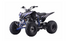 Victacci Pentora 250 CC Off road ATV