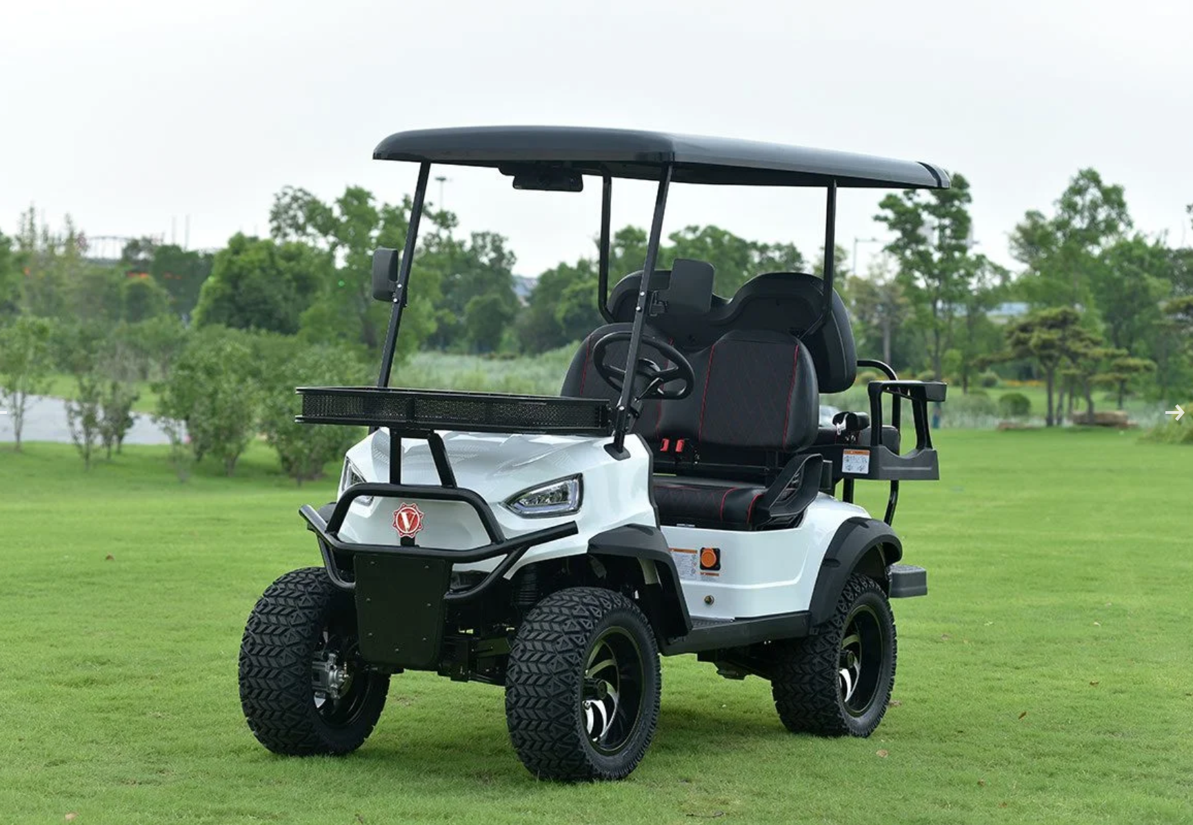 Vitacci E-Bolt electric Golf Cart with  Batteries