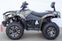 Terminator 300 CC EFI 4x4 ATV