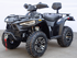 Terminator 300 CC EFI 4x4 ATV