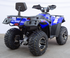Terminator 300 CC EFI 4x4 ATV