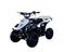 Hawk 110cc