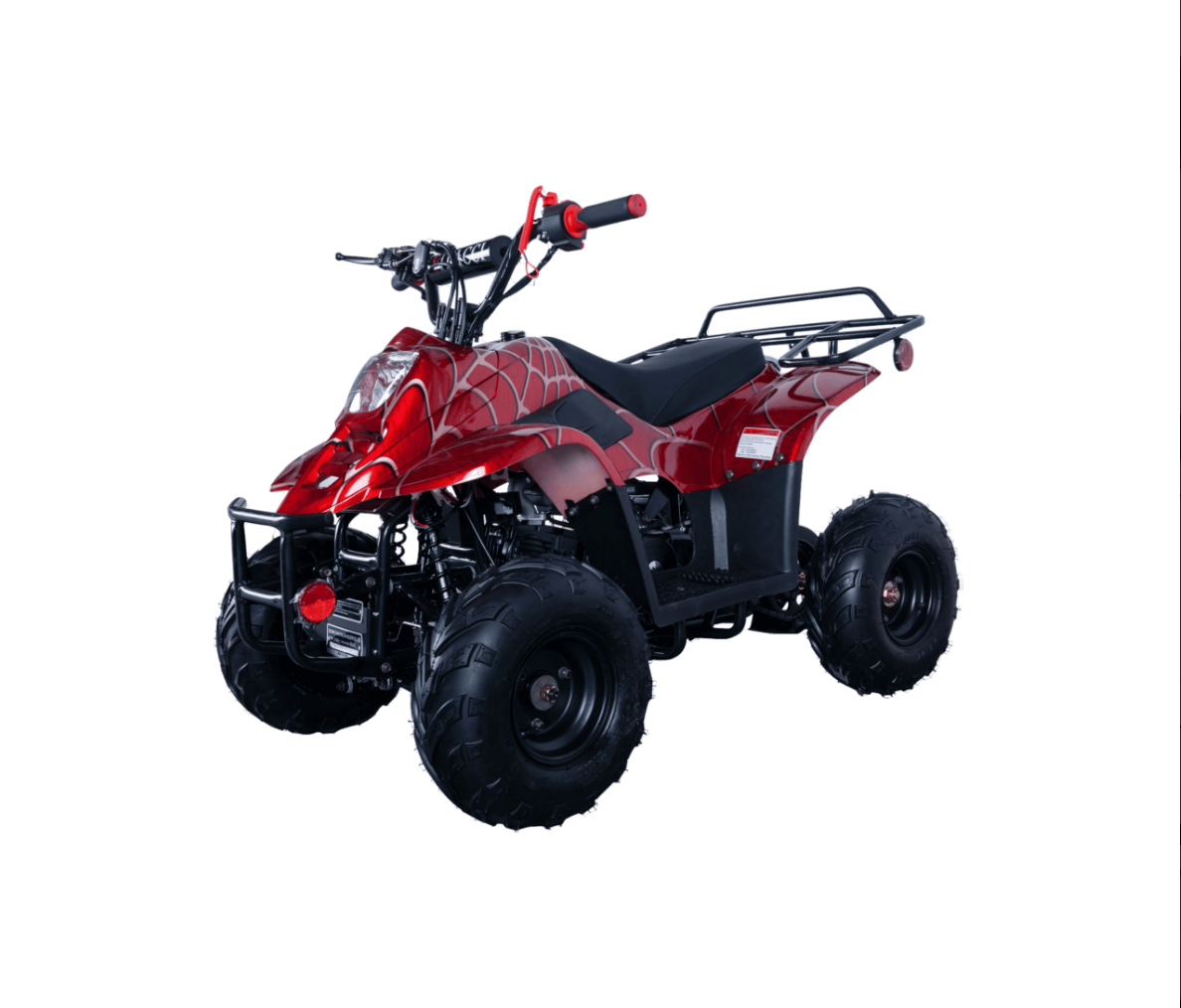 Hawk 110cc