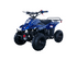 Hawk 110cc