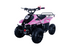 Hawk 110cc