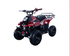 Hawk 110cc