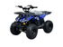 RXR 110CC
