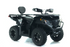 Cyber Roamer 250 EFI ATV
