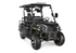 Rover 200 EFI Golf Cart