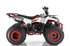 Commander 200cc EFI