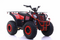 Commander 200cc EFI